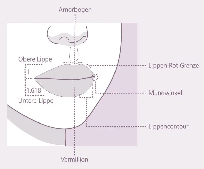 Lippen aufspritzen: Proportionen