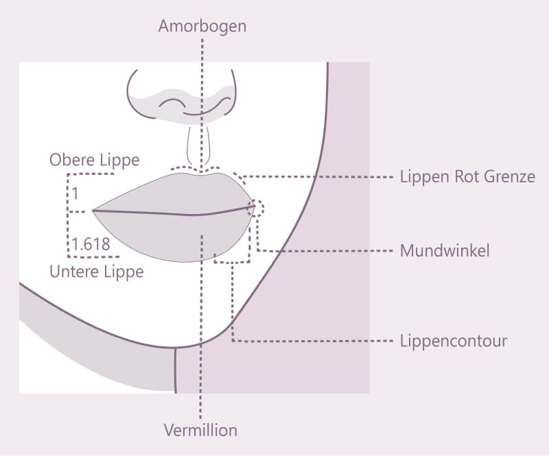 Hyaluron Lippen aufspritzen