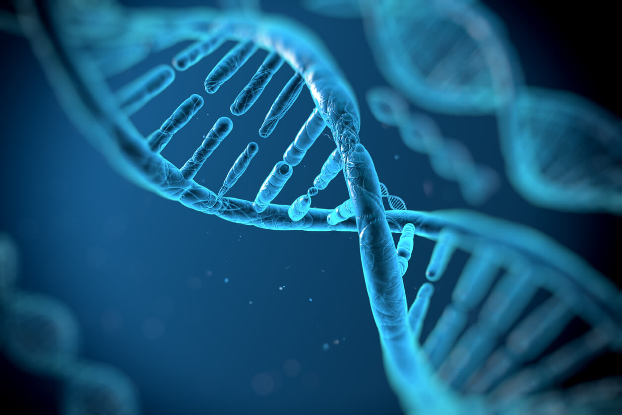 Genetica e formazione delle rughe